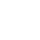 LinkedIn LI Icon White